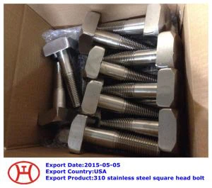 310  Mur Baut Kepala Keluli Tahan Karat