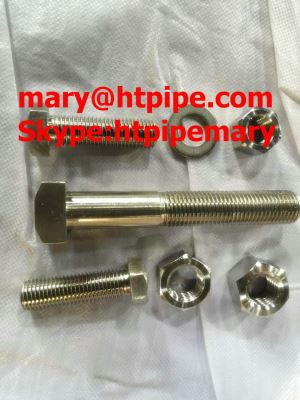 Incoloy  800 HT UNS N08811 1. 4959  Bolt Nut Washer